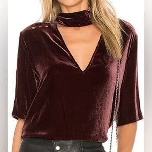 Theory x Revolve Slit Collar Deep V neck Velvet Burgundy Red top